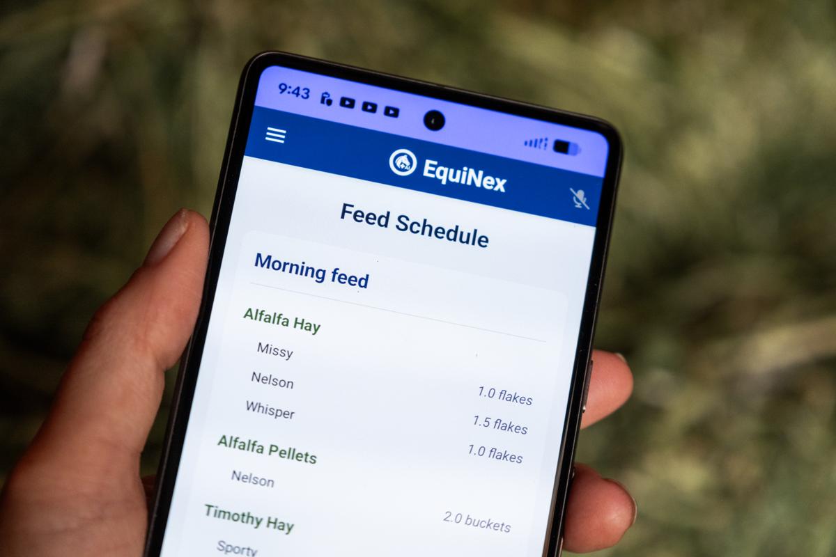 Phone showing the EquiNex feed schedule with hay behind, the barn app versus paper binders question in one picture