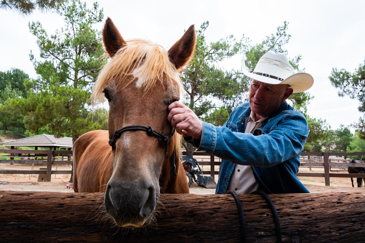 Rider checking a horse's face and eye over a fence, the kind of check a horse veterinary records app helps track