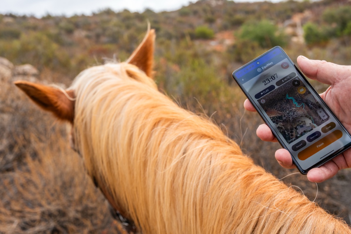 A rider checks the EquiNex ride map on his phone over his chestnut horse's flaxen mane on a hillside trail: a horseback riding route planner that builds itself as you ride