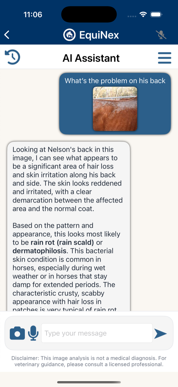 AI Assistant analyzing a photo of a horse's back condition