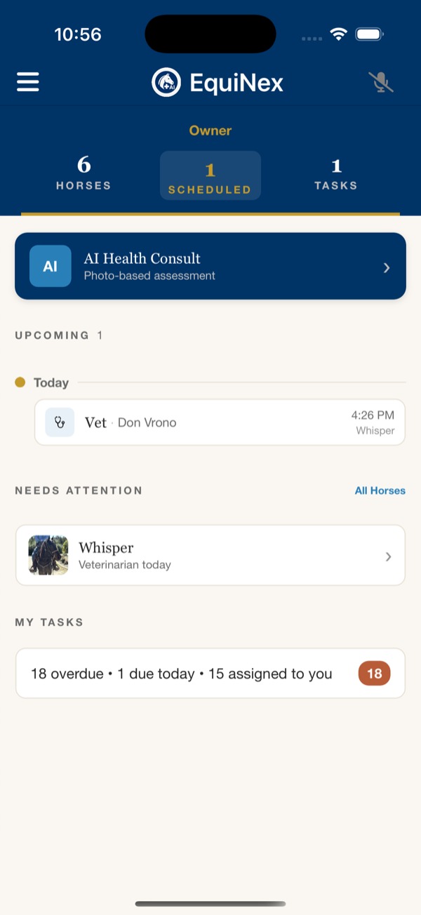 Dashboard showing upcoming vet visits, tasks, and horse status