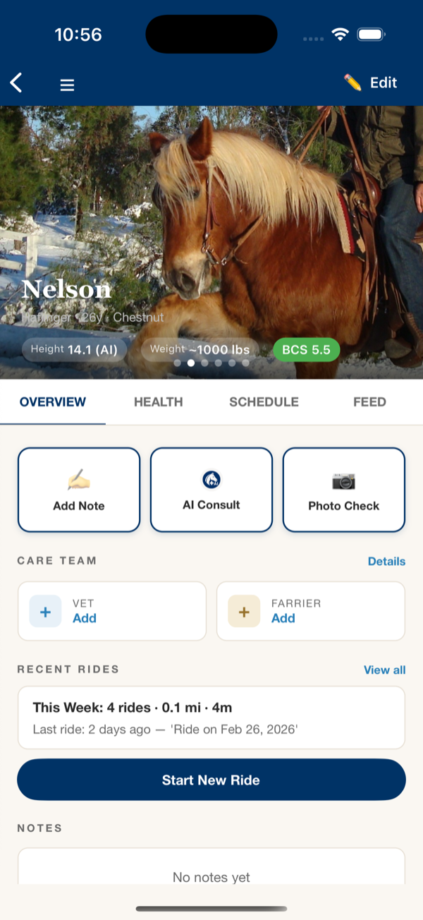 Nelson's profile with BCS score, weight, and recent rides